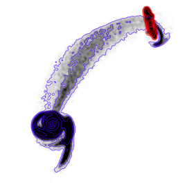 Simulated collision of two disk galaxies, with the blue one falling in on a polar, prograde orbit resulting in an extended tidal bridge.